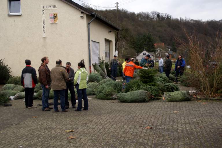 Weihnachtsbaumverkauf 2008 Bild Nr.003